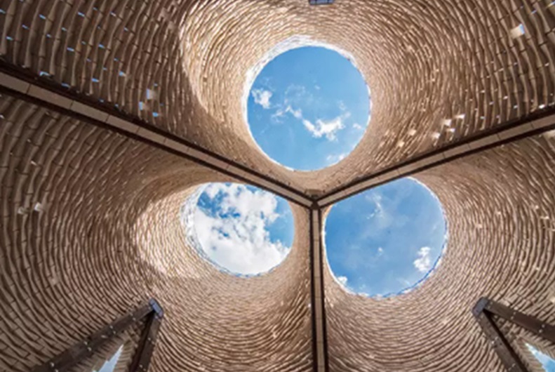 Mycelium roof