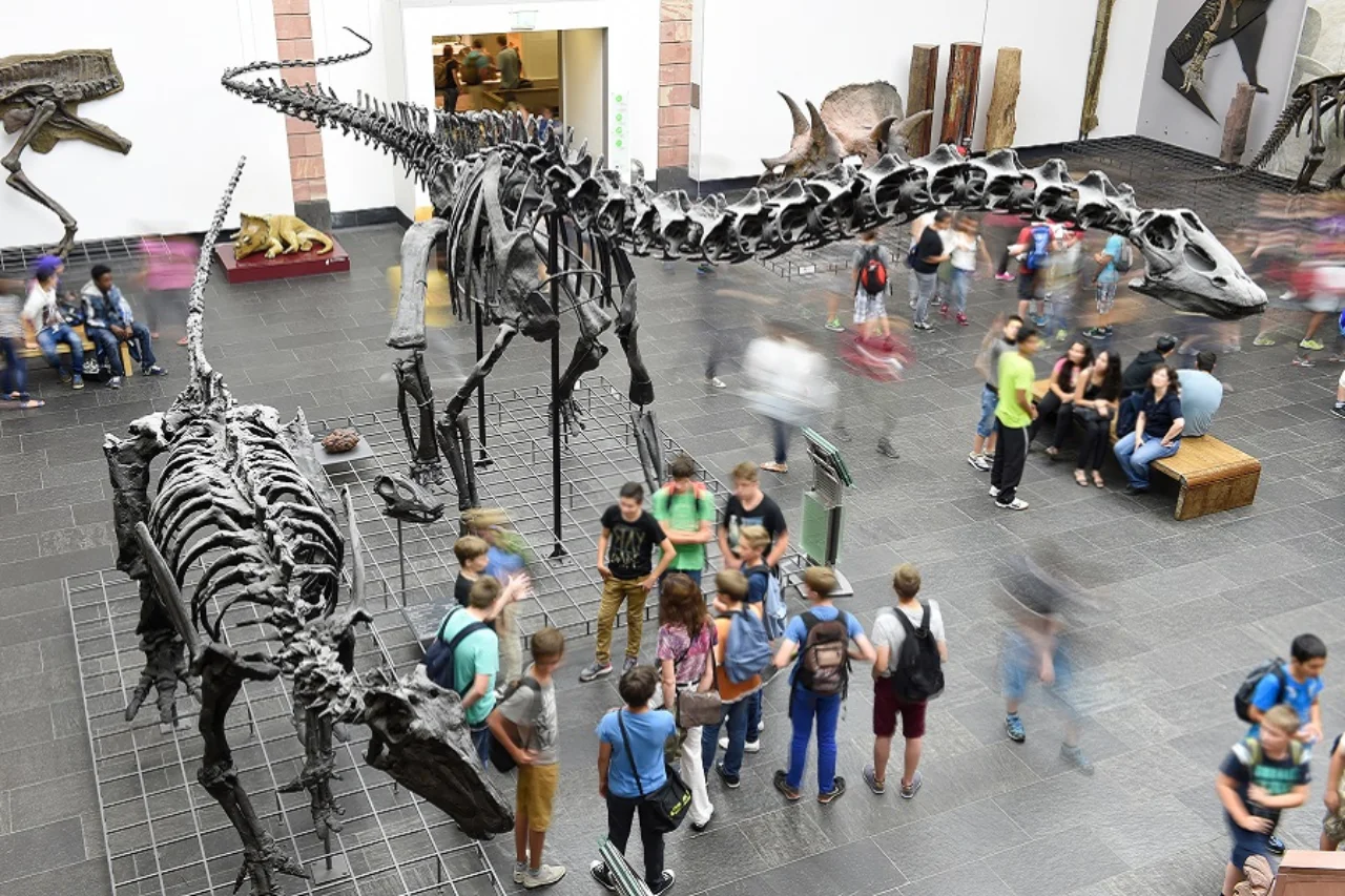 Dinosaal im Senckenberg-Museum © Sven Tränkner