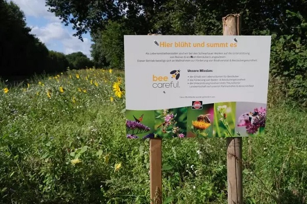 Bee careful Schwartau Infotafel