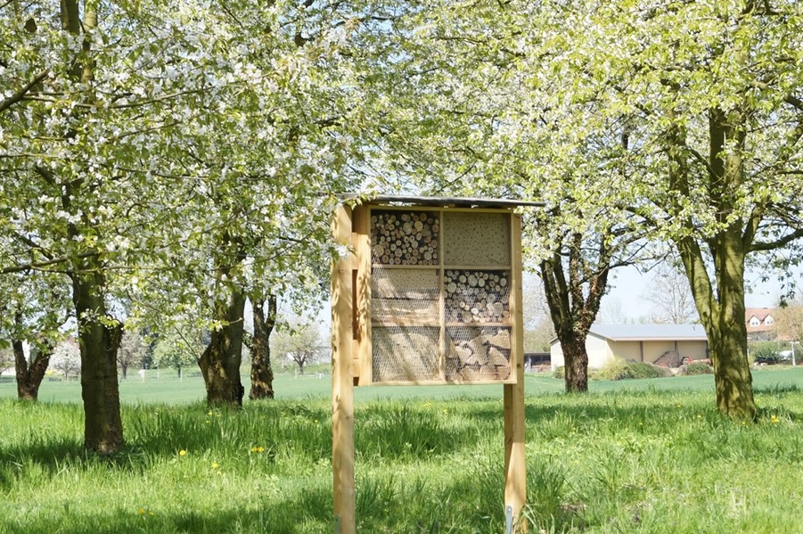 Bee careful insect hotel