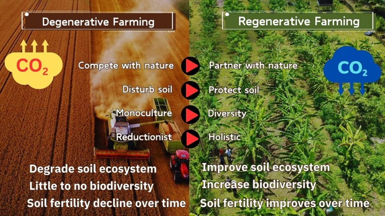 Infographic Biodiversity. Source: GPFM
