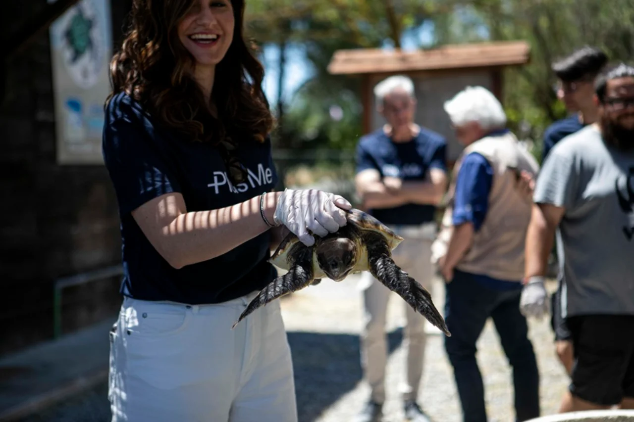 Volunteer with a turtle on the beach