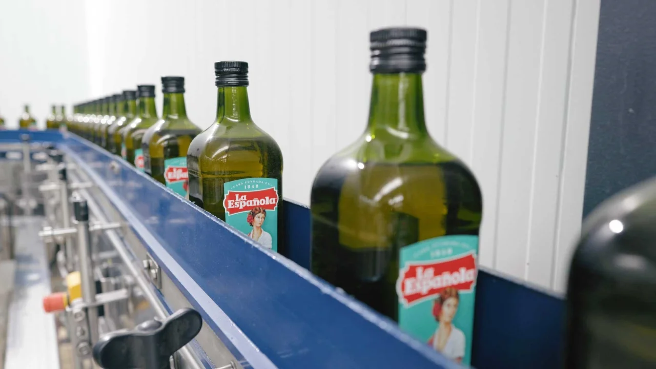 Production of olive oil