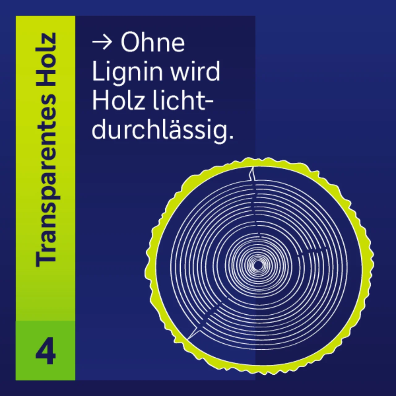Transparentes Holz ohne Lignin