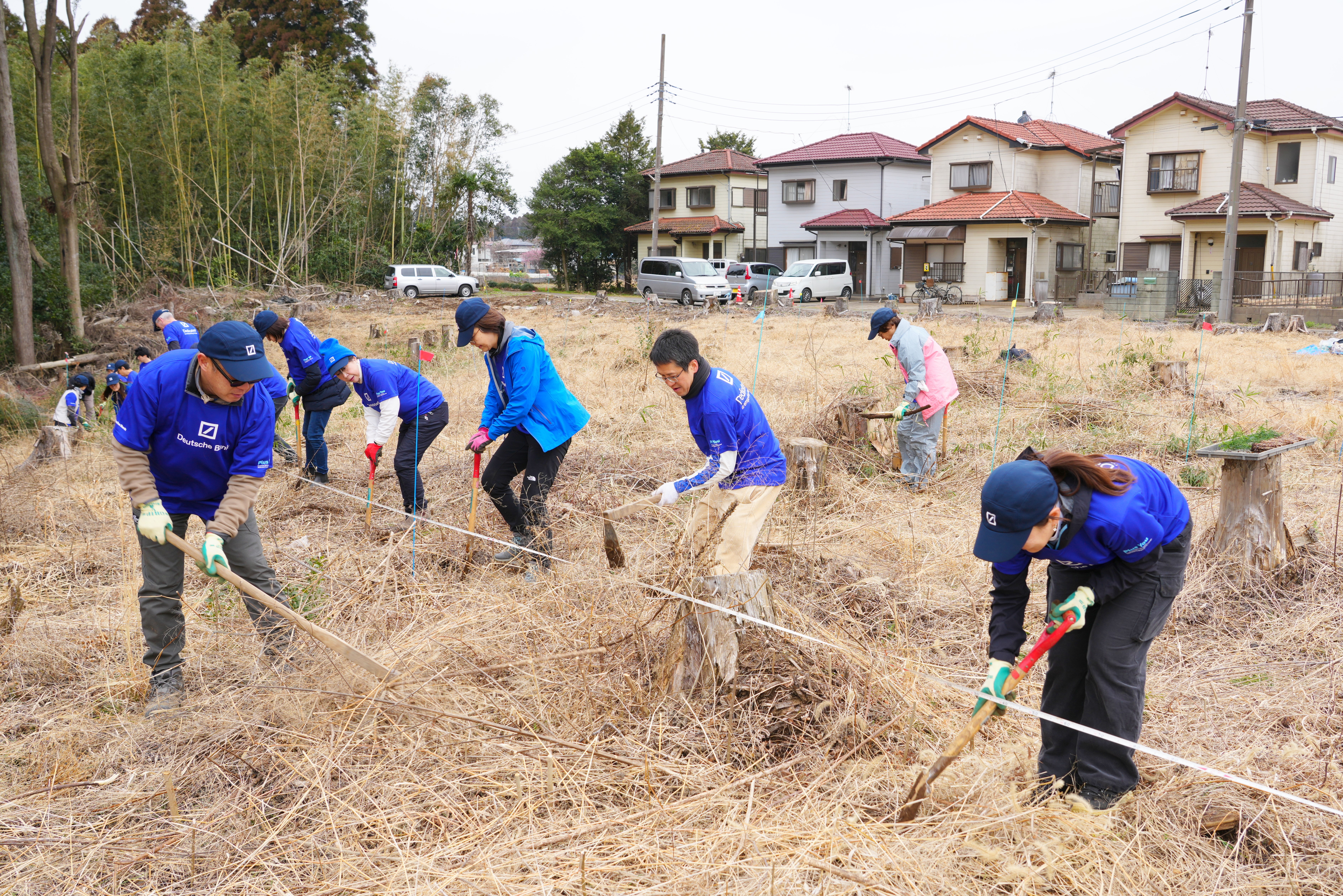 Volunteers working together on tree planting