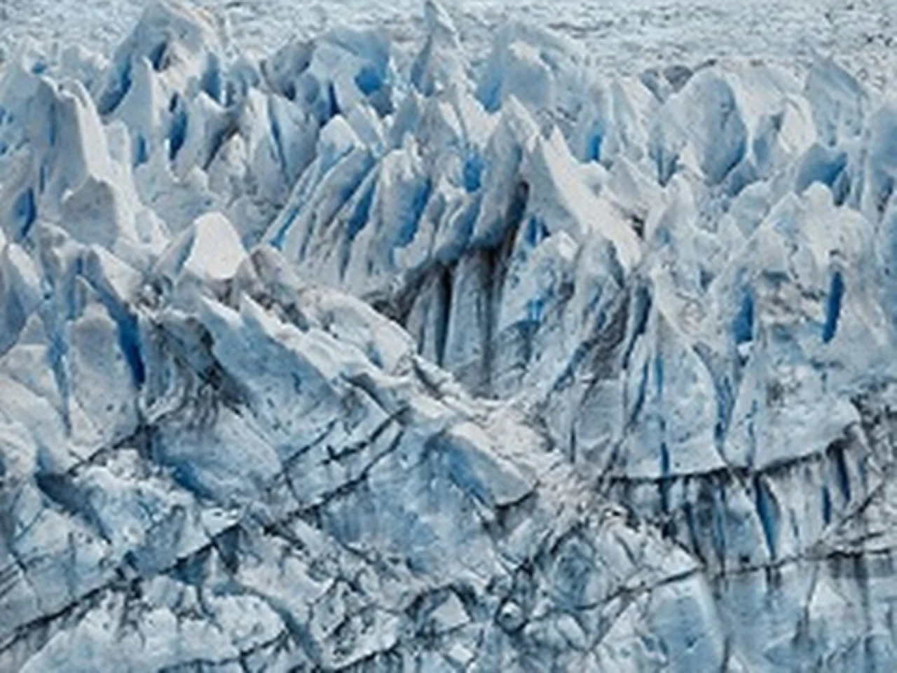 Climate statement – approaches to fighting climate change