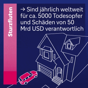 Sturzfluten verursachen j&auml;hrlich ca. 5000 Todesopfer und 50 Mrd USD Schaden.