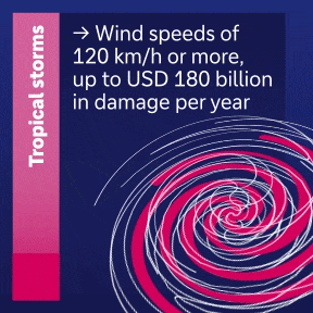 Tropical storms with winds of 120 km/h or more cause up to USD 180bn in damage yearly.