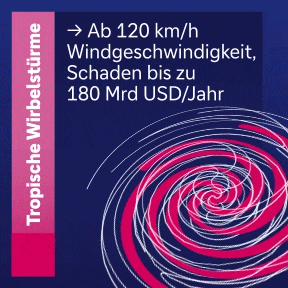 Tropische Wirbelst&uuml;rme ab 120 km/h verursachen bis zu 180 Mrd USD j&auml;hrlich.