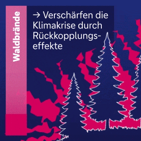 Waldbr&auml;nde versch&auml;rfen die Klimakrise durch R&uuml;ckkopplungseffekte